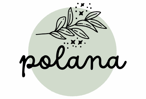 polana 3.0 logo www